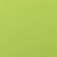 5429 Canvas Macaw